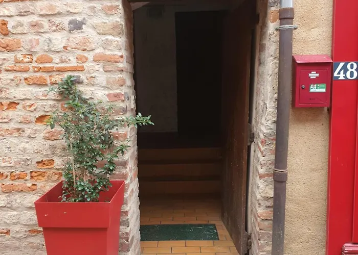 Appartement Cosy Dans Le Centre Historique